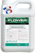  Détergent desodorisant désinfectant levuricide FLOWER DP PIN 5L
